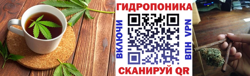 Canna-Cookies марихуана  продажа наркотиков  Сосновоборск 