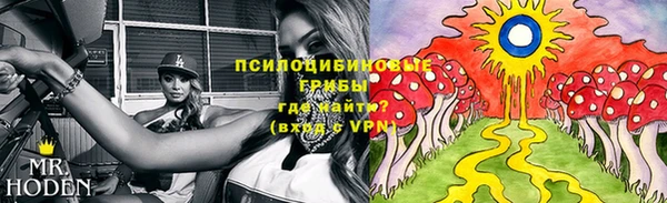 молекула духа Балабаново