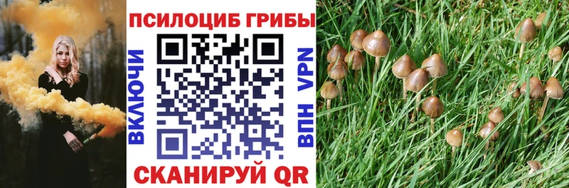 Галлюциногенные грибы прущие грибы  Сосновоборск 